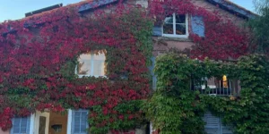 Best Cities Near Hunter Valley NSW
