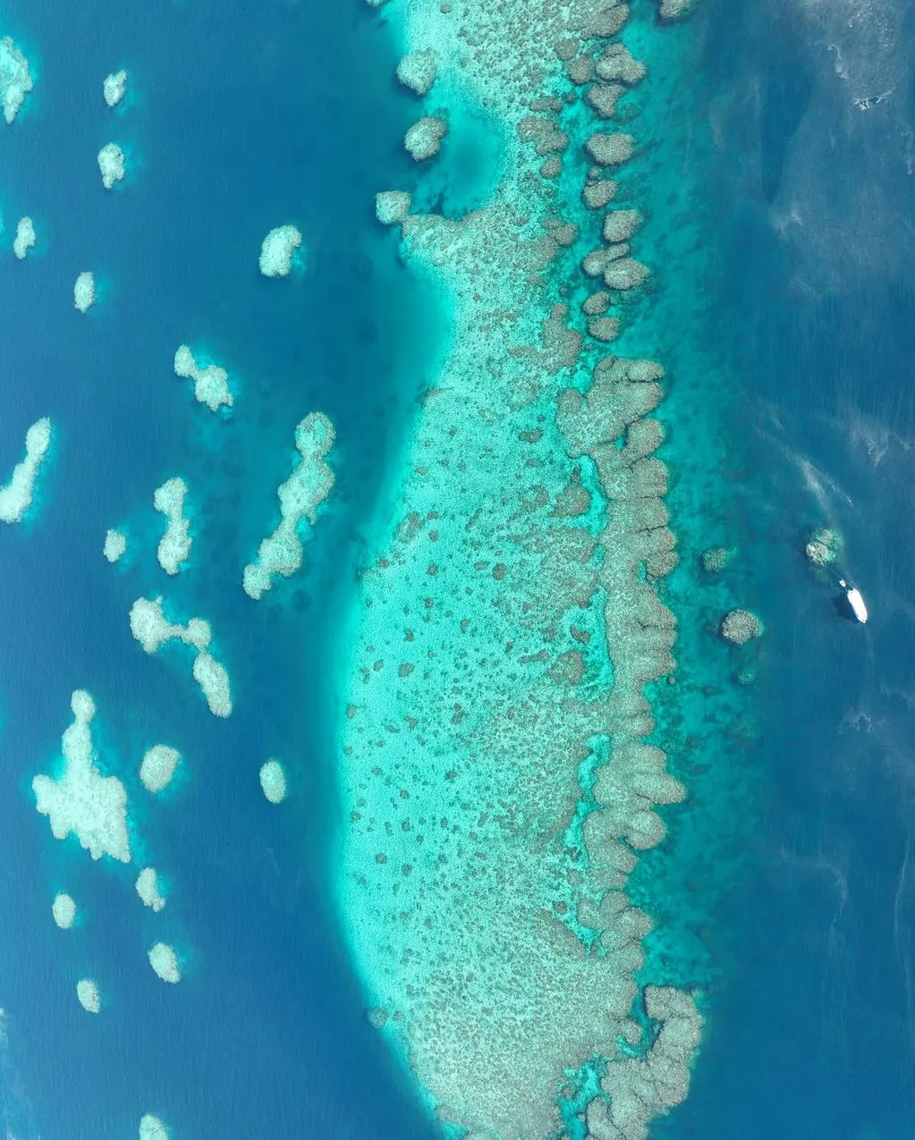 Portal Educando | Can The Great Barrier Reef Be Seen From Space? Great Barrier Reef Tours