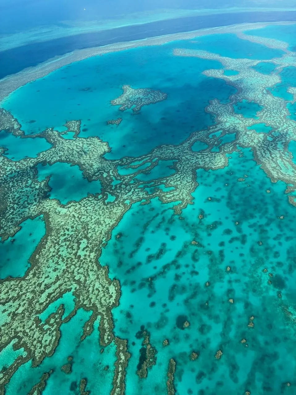 Portal Educando | Can The Great Barrier Reef Be Seen From Space? How Astronauts Really See the Sea Below