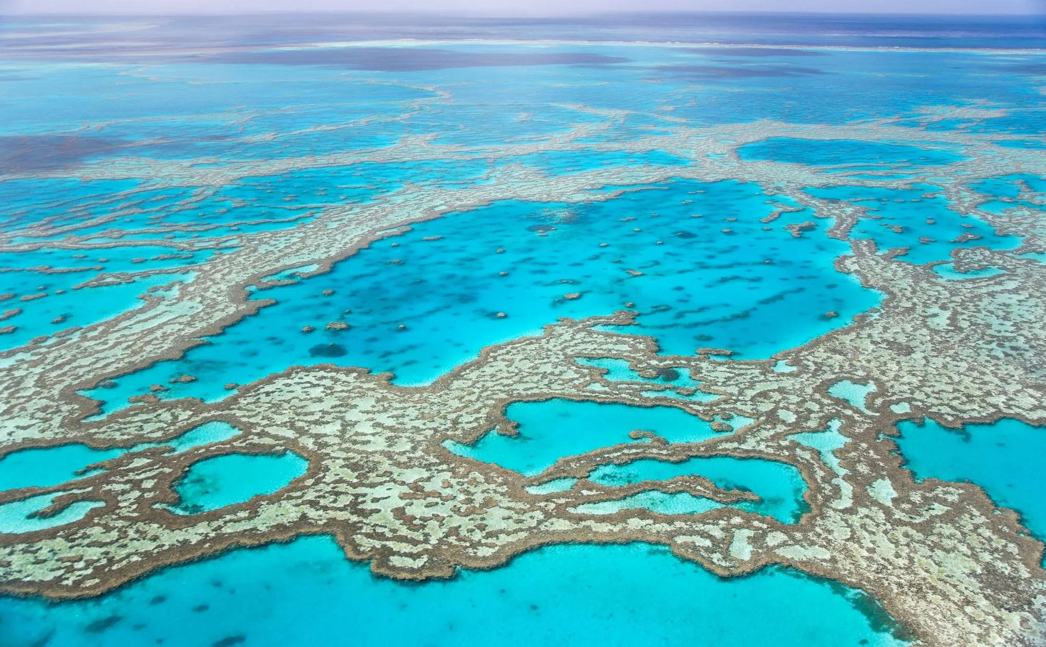 Portal Educando | Can The Great Barrier Reef Be Seen From Space? The Truth Behind The Space Story