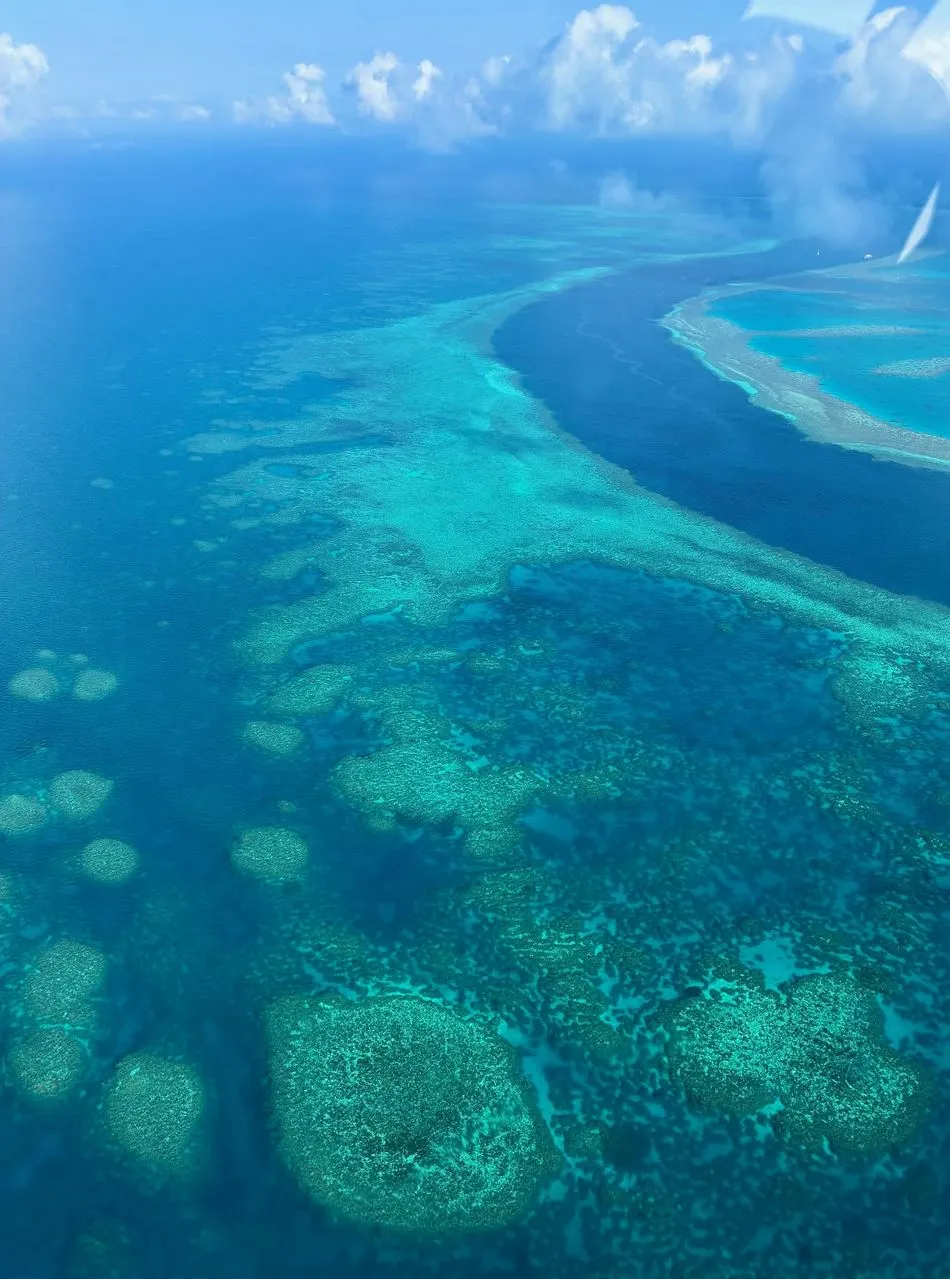 Portal Educando | Can The Great Barrier Reef Be Seen From Space? What You See From Earth (And Why It Matters For Space)