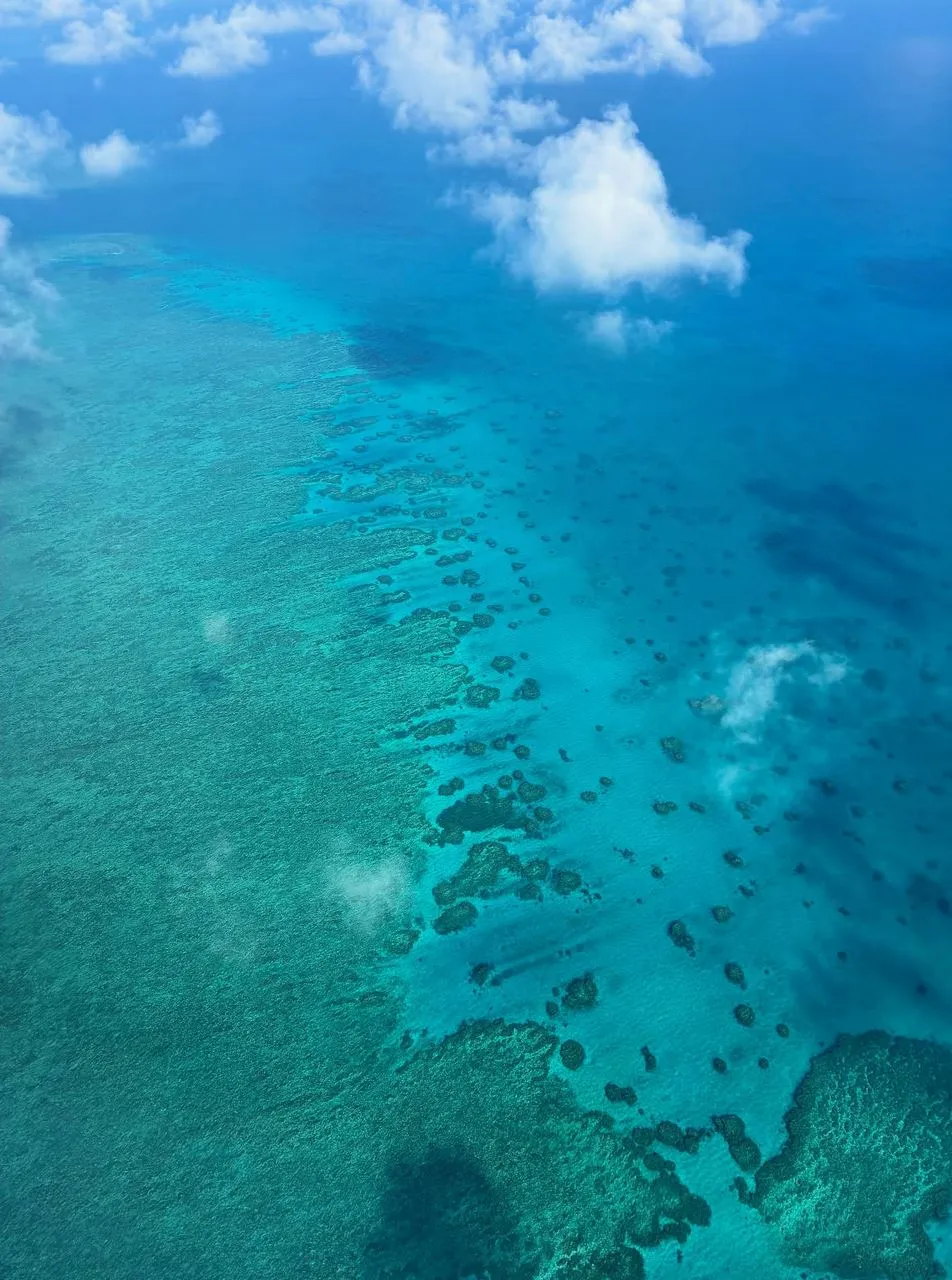 Portal Educando | Can The Great Barrier Reef Be Seen From Space? Why Visibility Changes