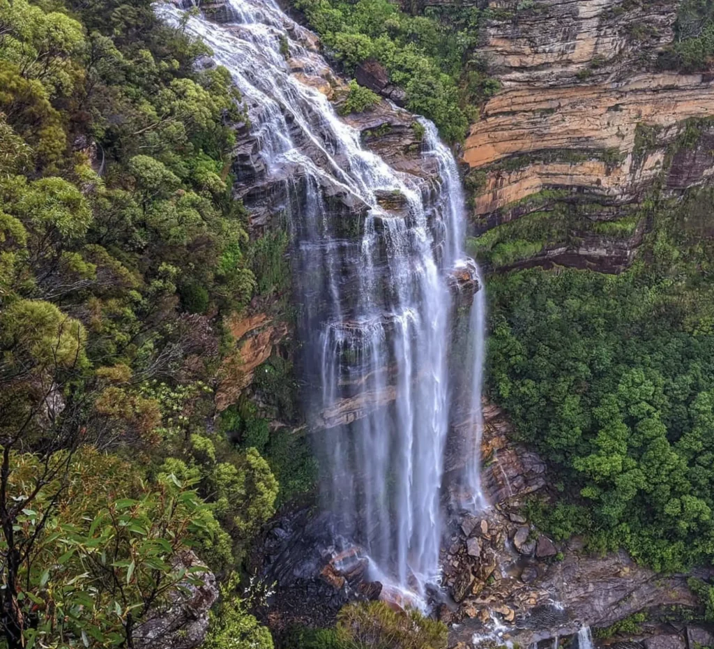 blue mountains tour