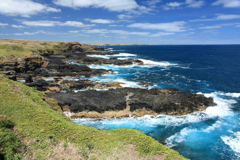 Discover the Magic of Phillip Island on a Day Excursion