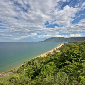 Portal Educando|Uncover Cairns & Port Douglas: Ultimate Guide to Top Tropical Adventures