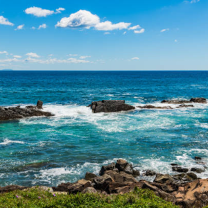 Portal Educando|Explore Forster-Tuncurry: Adventure, Relaxation & Family Fun on Australia’s Coast